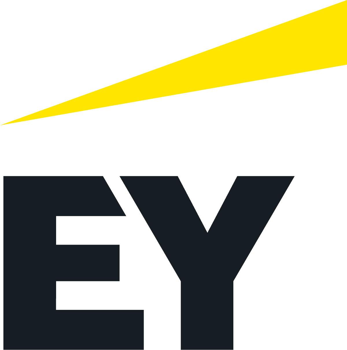 EY consulting